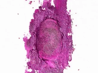 Nicki Minaj – Anaconda Mp3 Download