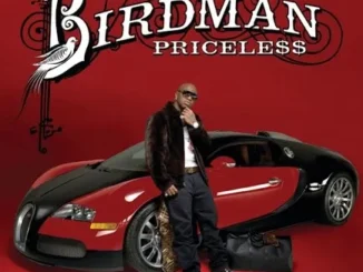Birdman – Shinin ft. T-Pain Mp3 Download