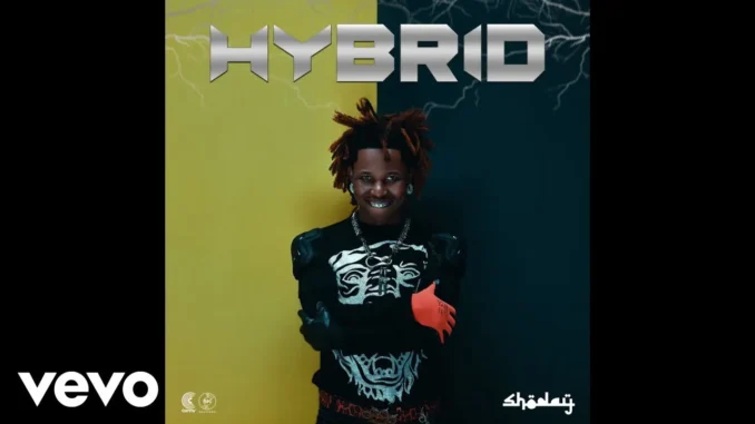 Shoday – Joy Mp3 Download