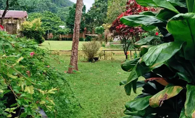 Chiiro – You Mp3 Download