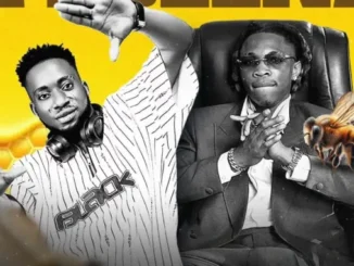 DJ Amacoz – Best Of Rybeena 2026 Mix Mp3 Download
