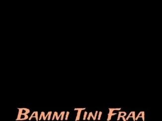 DJ Damlex Soundit – Bammi Tini Fraa Mp3 Download