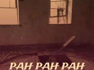 DJ Damlex Soundit – Pah Pah Pah Mp3 Download