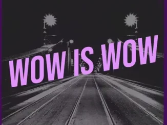 DJ Damlex Soundit – Wow Is Wow Mp3 Download