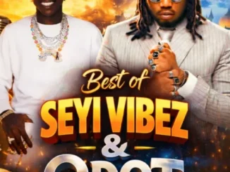 DJ Wizkel – Best of Seyi Vibez & Qdot (2026 Mix) Mp3 Download
