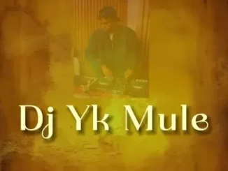 DJ YK Mule – Mule Dance Mp3 Download