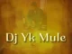 DJ YK Mule – Mule Dance Mp3 Download