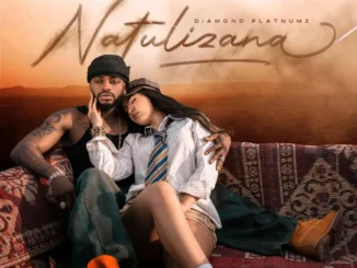 Diamond Platnumz – Natulizana