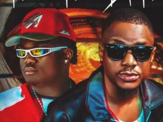 Dluxx ft. Evado – Rollercoaster Mp3 Download