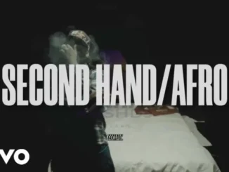 Don Toliver ft. Rema – Second Hand (KU3H Afro Remix) Mp3 Download