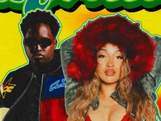 Joshua Baraka, Shenseea & Axon – Morocco (Remix)