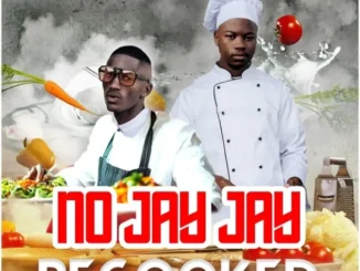 Nathii – No JayJay Recooked Ft. Dj Jay Jay Mp3 Download