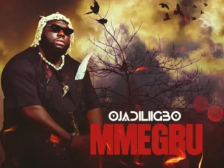 Ojadiliigbo – Mmegbu Mp3 Download