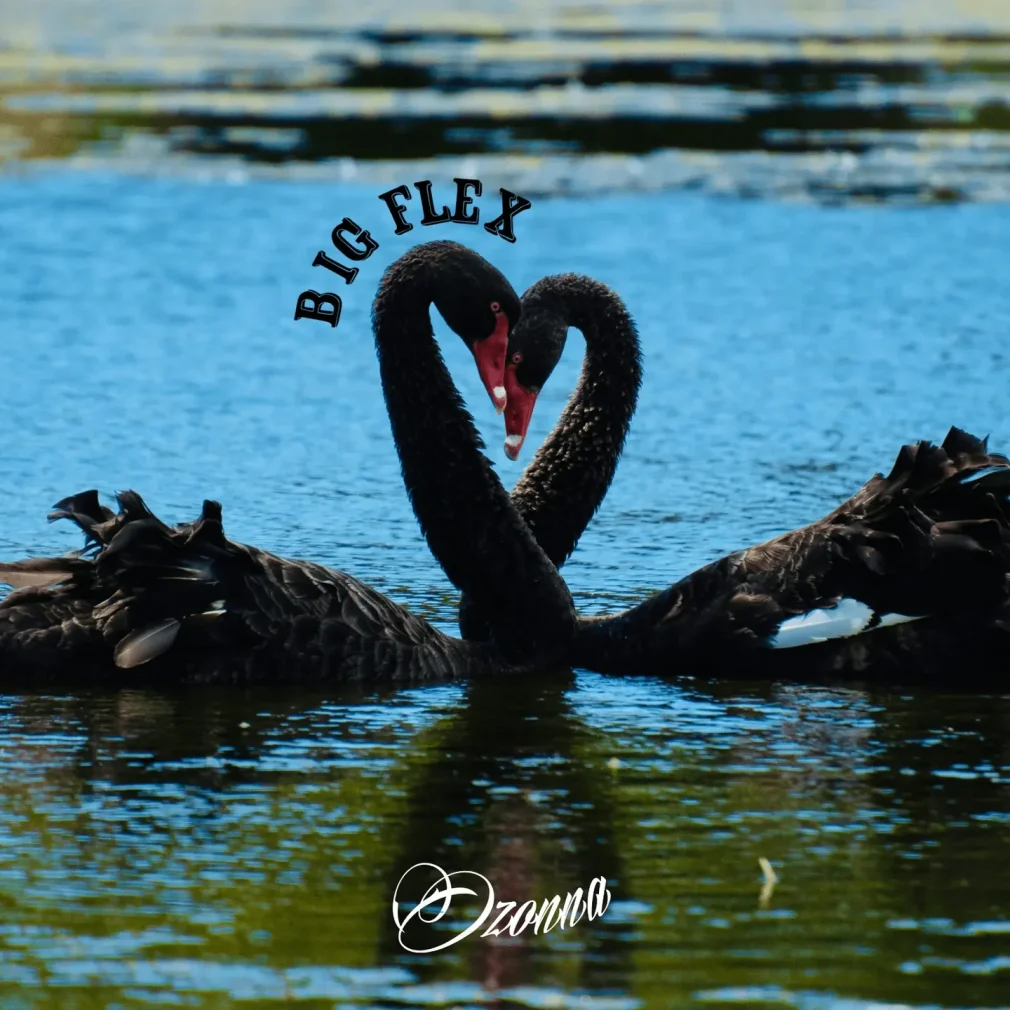 Ozonna – Big Flex Mp3 Download