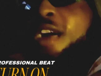 Professional Beat – Turn On The Light Mp3 Download