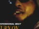 Professional Beat – Turn On The Light Mp3 Download