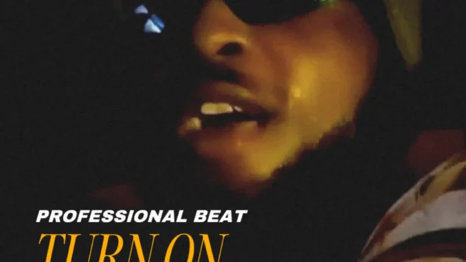 Professional Beat – Turn On The Light Mp3 Download