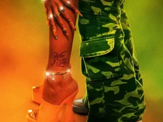 Rvssian, Moliy, Ayetian & Tyga – What I Like Mp3 Download