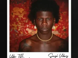 Seyi Vibez – Blacka Rhythm Mp3 Download