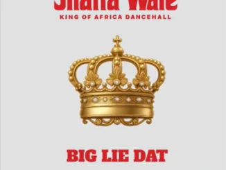Shatta Wale – Big Lie Dat (WYFL Riddim) Mp3 Download
