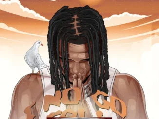 Sparkle Tee – I No Go Fall Mp3 Download