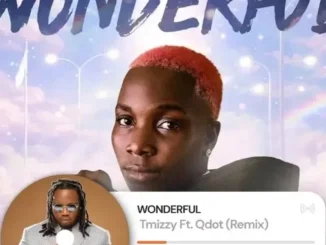 TMizzy Mrhorrizen & Qdot – Wonderful (Remix) Mp3 Download