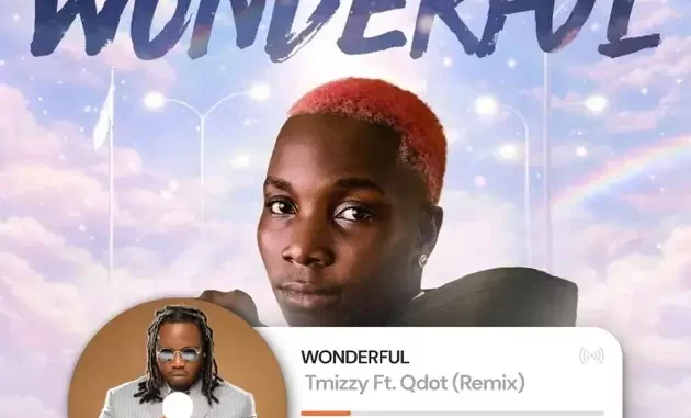 TMizzy Mrhorrizen & Qdot – Wonderful (Remix) Mp3 Download