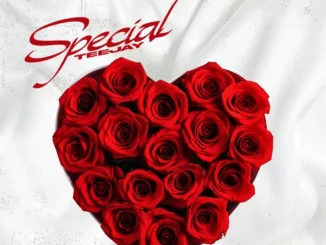 Teejay – Special Mp3 Download