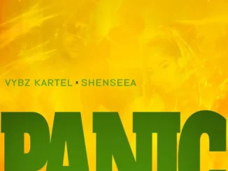 Vybz Kartel – Panic Ft. Shenseea Mp3 Download