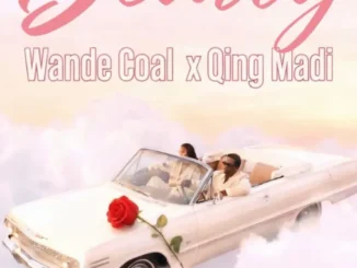Wande Coal & Qing Madi – DEARLY