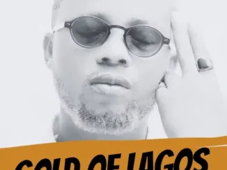 Wizkid – Lagos Vibes (Mixed) Mp3 Download