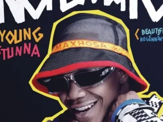 Young Stunna – Adiwele ft. Kabza De Small Mp3 Download