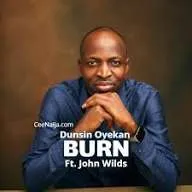 Dunsin Oyekan – BURN Mp3 Download