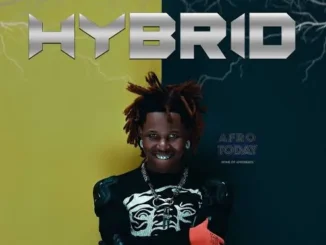 T mizzy Ft Q dot – Adeyimika (Remix) Mp3 Download