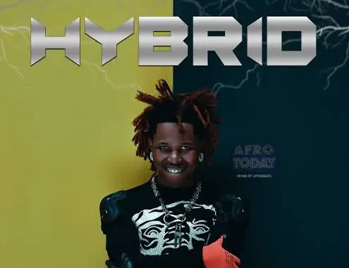 T mizzy Ft Q dot – Adeyimika (Remix) Mp3 Download