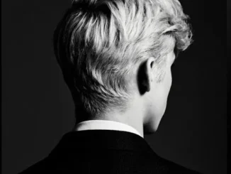 Troye Sivan – What A Heavenly Way To Die