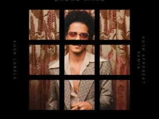 Bruno Mars – Risk It All (KU3H Afrobeat Remix) Mp3 Download