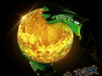 Burna Boy ft. Wizkid – B. D’OR Mp3 Download