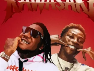 CDQ & Reekado Banks – Kawasaki Mp3 Download