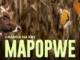 Chanda Na Kay – Mapopwe ft. Sianene & Coopticker Mp3 Download