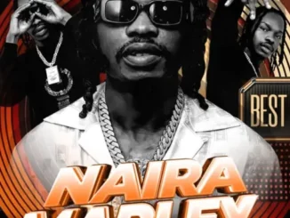 DJ Amacoz – Best Of Naira Marley 2026 Mix Mp3 Download