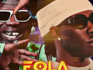 DJ Glitter – Best Of FOLA & Seyi Vibez 2026 Mix Mp3 Download
