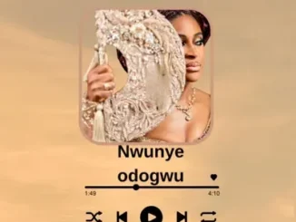 DJ Saintwills – Nwunye Odogwu ft. MC Firemouth, Ab Oja & Goziedrums Mp3 Download