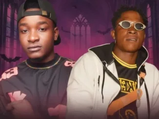 DJ Swagman & DJ IDBOSS – Stance The Vampire Mp3 Download