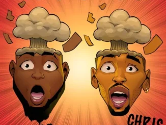 Davido & Chris Brown – Blow My Mind Mp3 Download