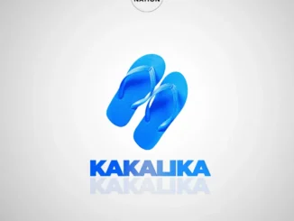 DopeNation – Kakalika Mp3 Download