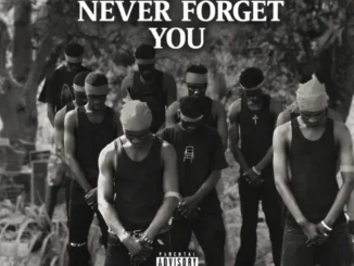 Dreamar – Never forget you ft. Kweku Tinboa Mp3 Download