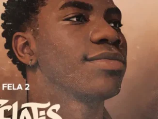 Felatis & Fela 2 – Catch the Vibes Mp3 Download