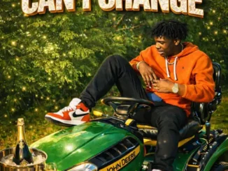 Luhdeeskii – Can’t Change (Radio Edit) Mp3 Download