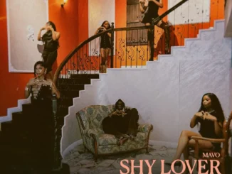 MAVO – Shy Lover Mp3 Download